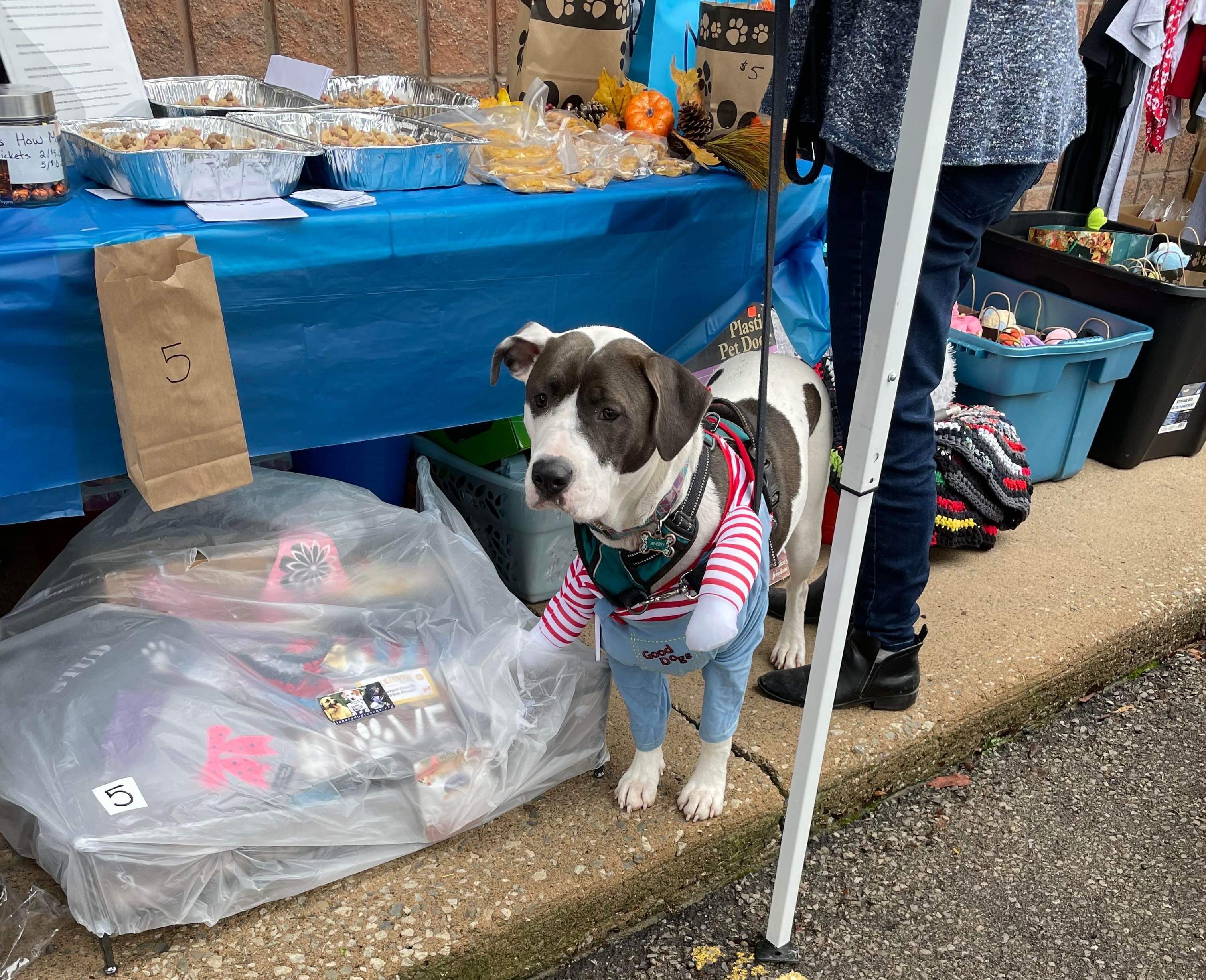 Fall Fundraiser vendor table