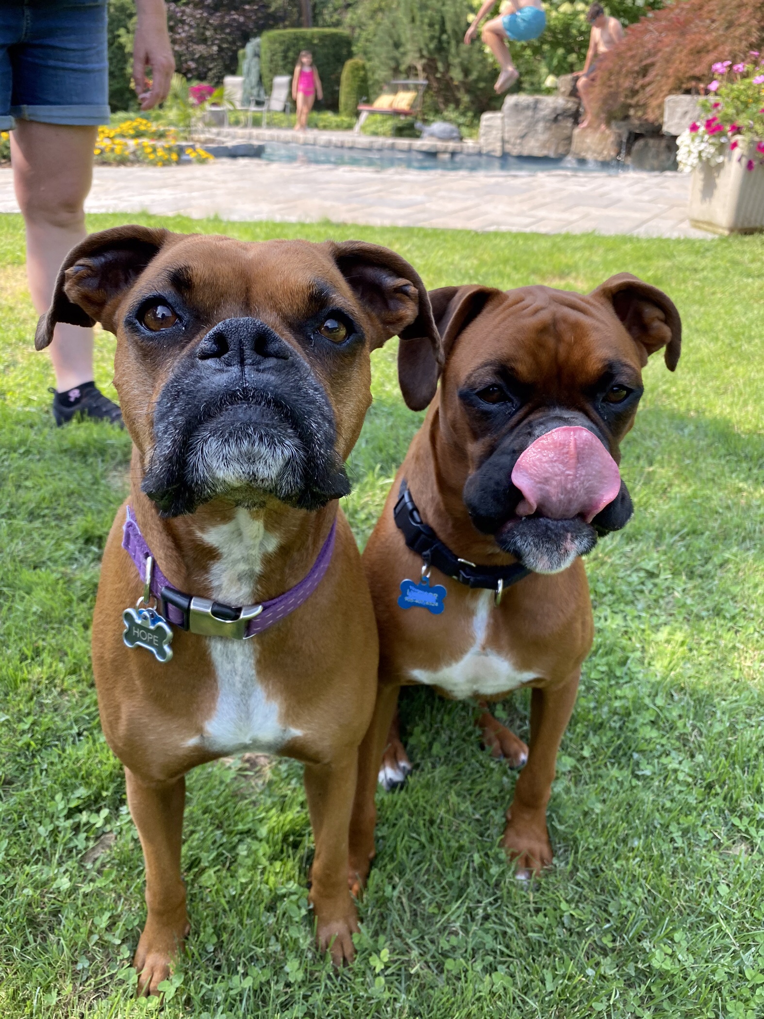 Jimmy and Hope enjoying treats