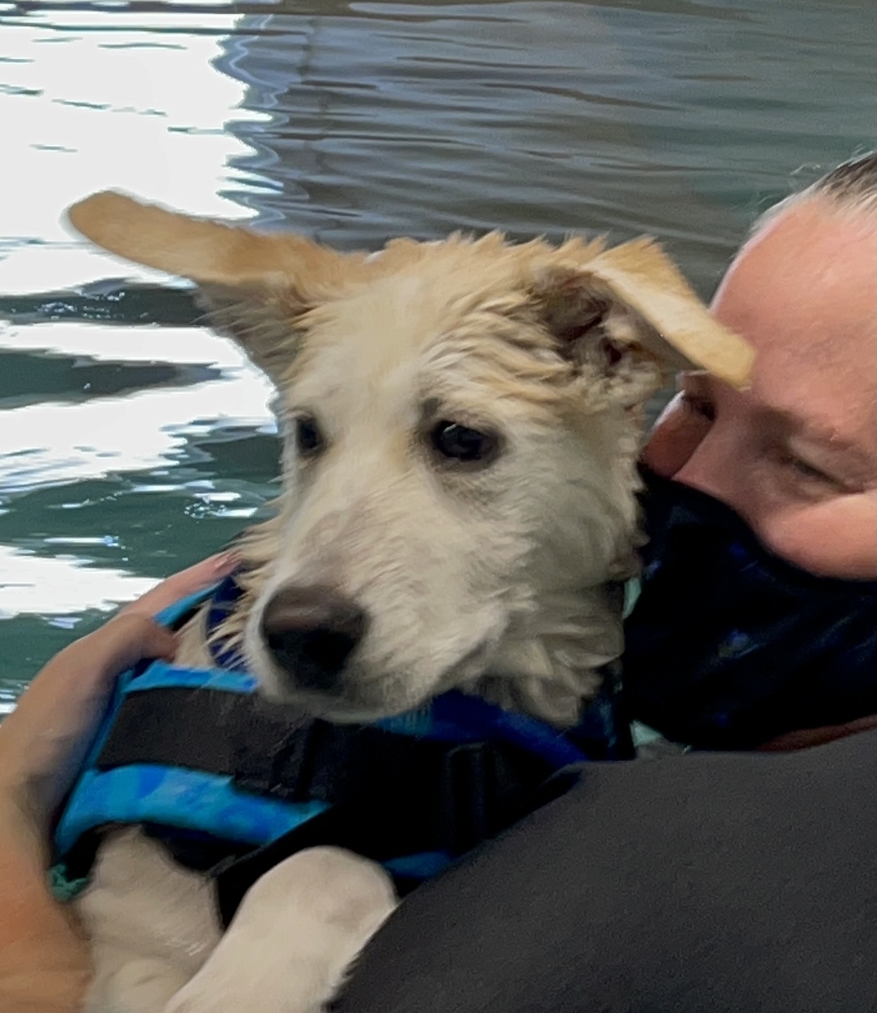 Jax in the pool