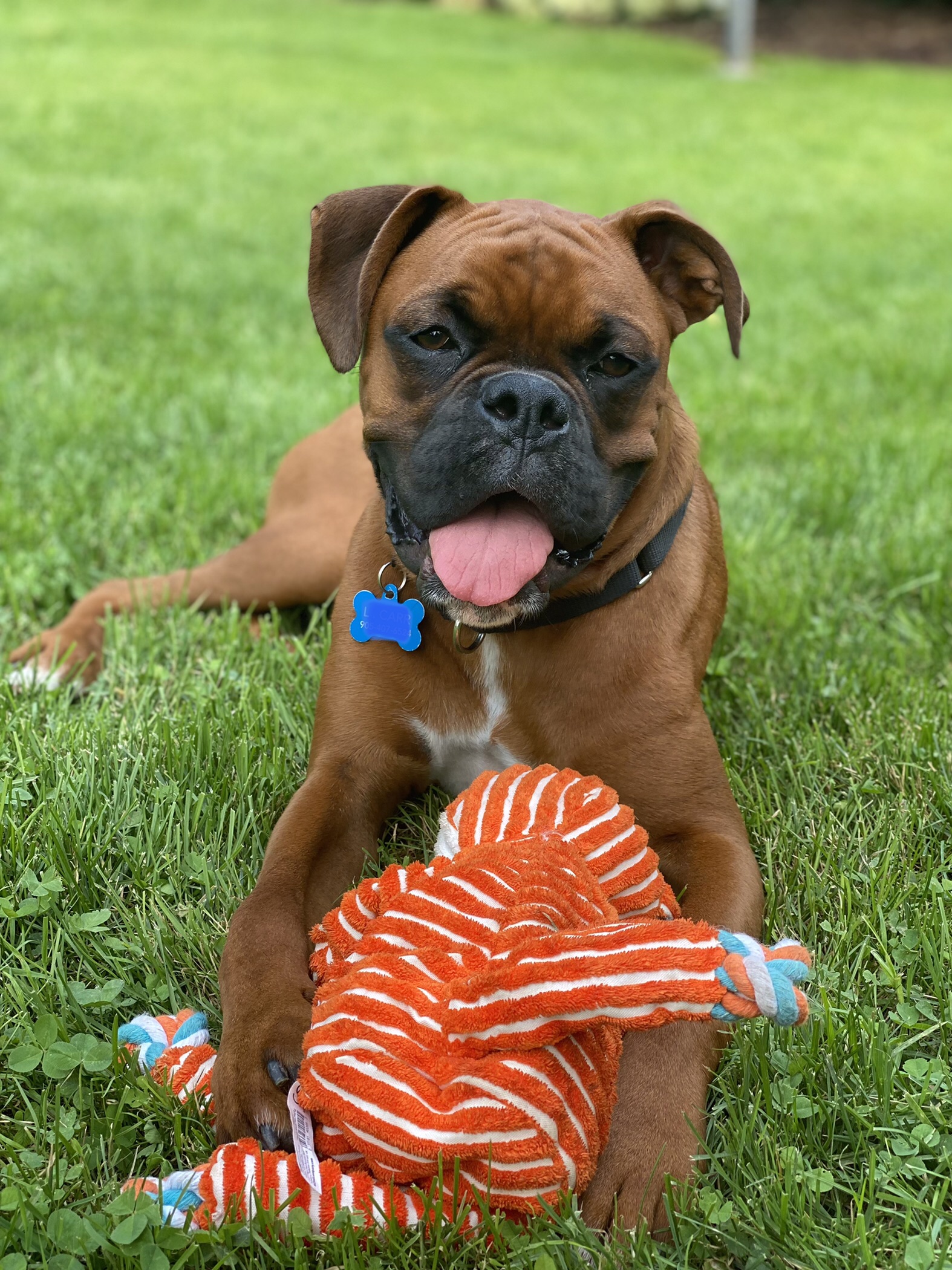 Jimmy with his fav toy